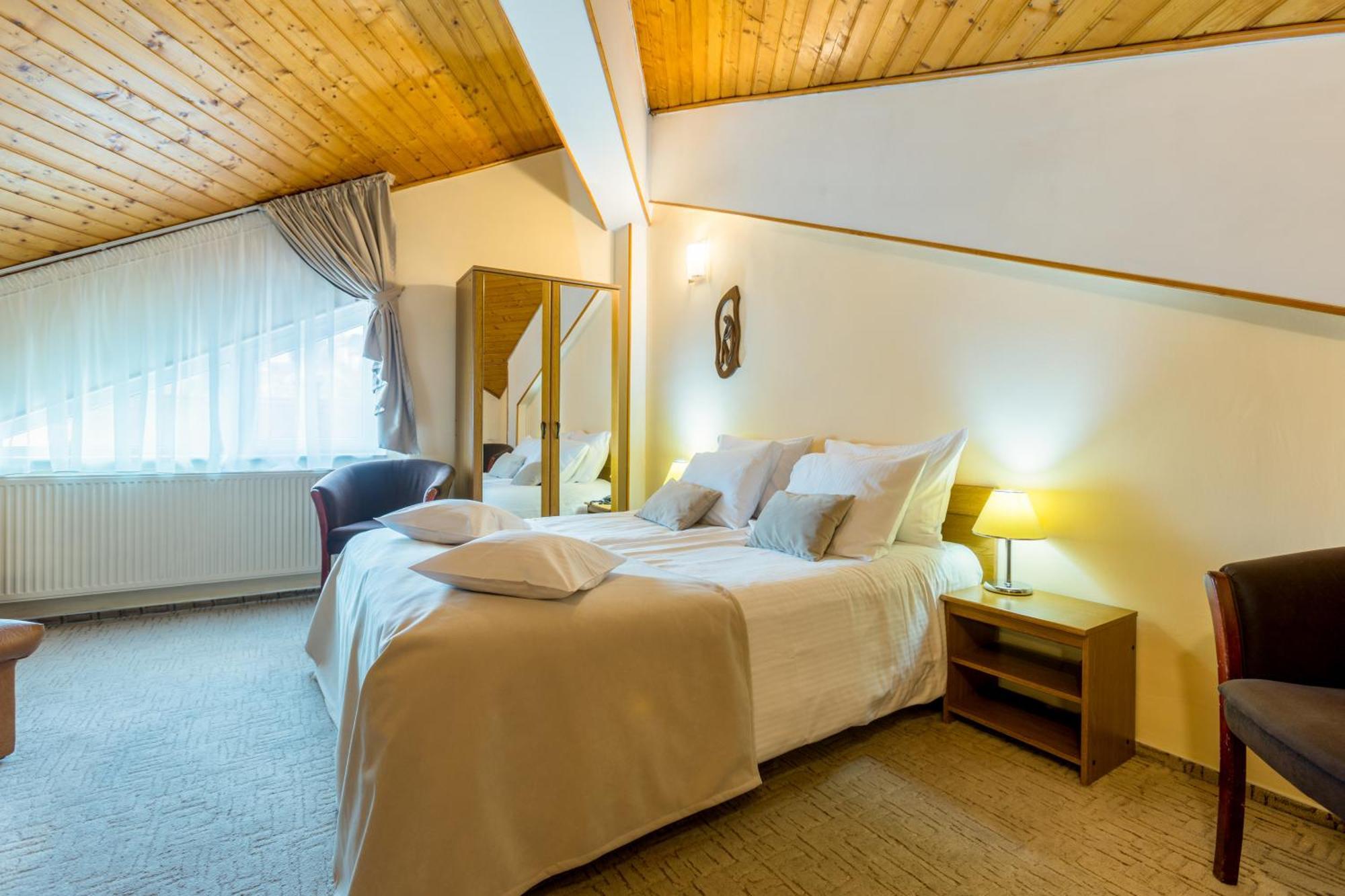 Hotel Ambient Braşov Rum bild